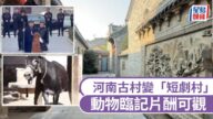 河南600年古村變身「短劇夢工廠」！村民、雞鴨鵝狗驢全員上陣，動物演員日薪高達600元
