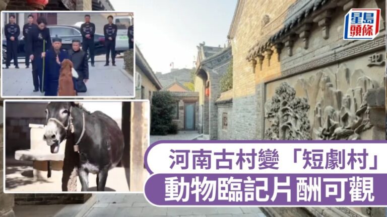 河南600年古村變身「短劇夢工廠」！村民、雞鴨鵝狗驢全員上陣，動物演員日薪高達600元