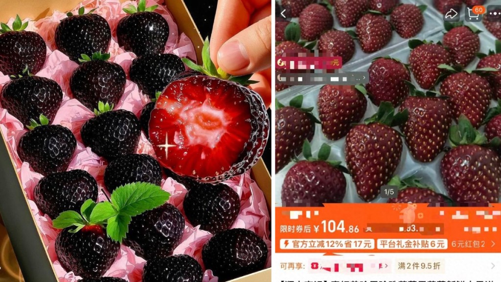 每公斤¥600!「黑士多啤梨」天價登場 果園老闆親解背後吸引力