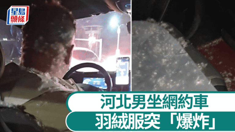 【尷尬爆笑】河北男網約車內羽絨服突「爆炸」 司機慘變「天鵝」滿身絨毛