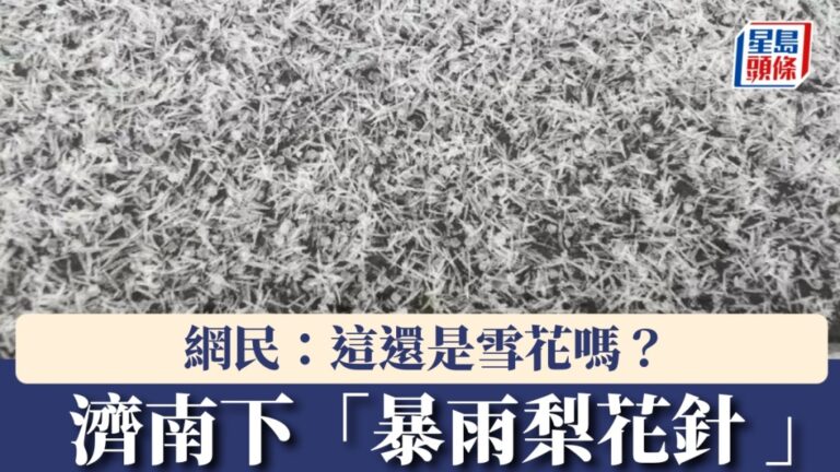 濟南驚現「暴雨梨花針」雪！科普解密：雪花為何不是六角形？