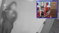 【上海奇案】侍應偷龍轉鳳換走3瓶飛天茅台 物主憑「神之手」一摸揭發！