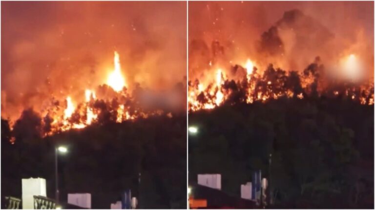 深圳坪山區山火狂燒近5小時未救熄！極度乾燥天氣釀「火龍」延綿