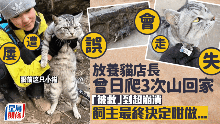 太行山絕望坡店長貓慘遭「被救」 日爬三次山回家崩潰成網紅