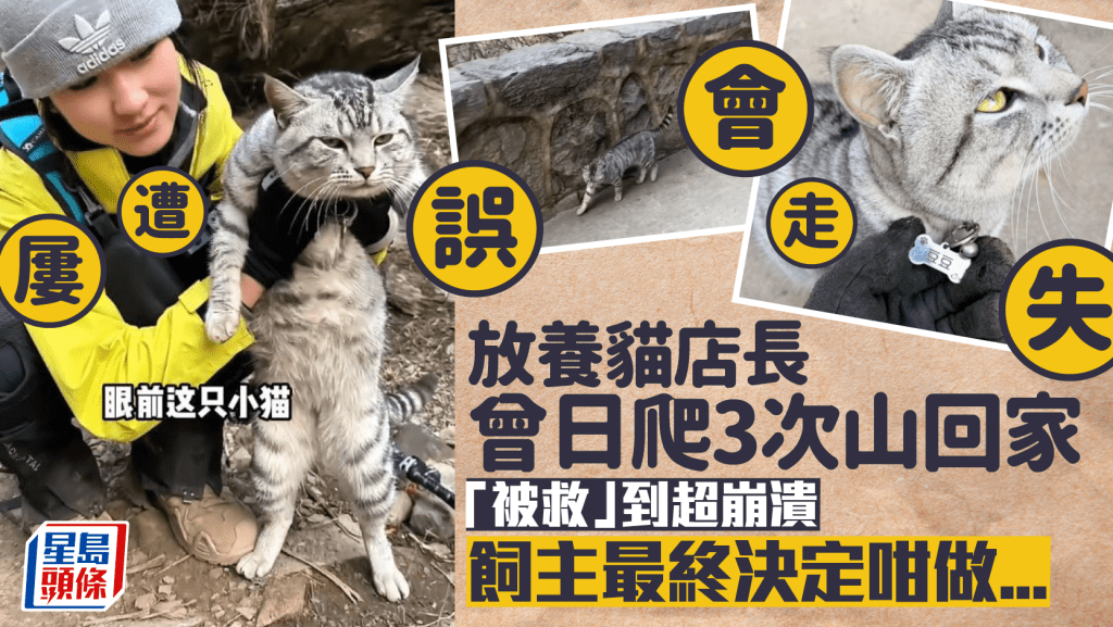 太行山絕望坡店長貓慘遭「被救」 日爬三次山回家崩潰成網紅