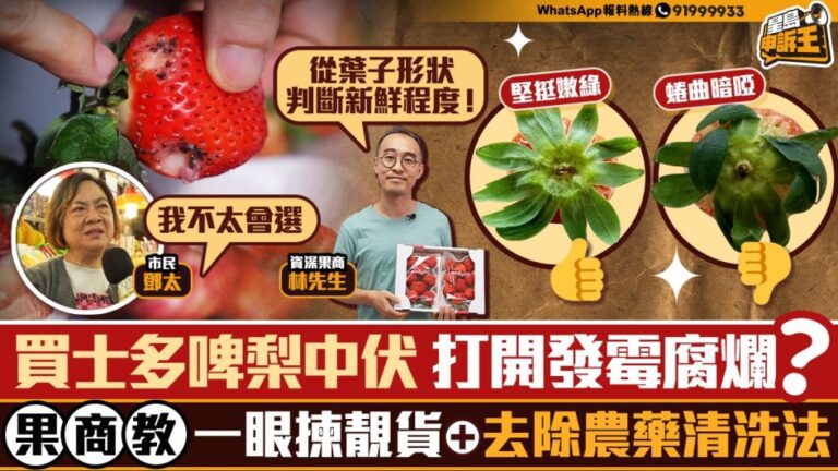 【士多啤梨攻略】果商教路！揀靚貨3大秘訣＋安全清洗法 避開發霉中伏陷阱