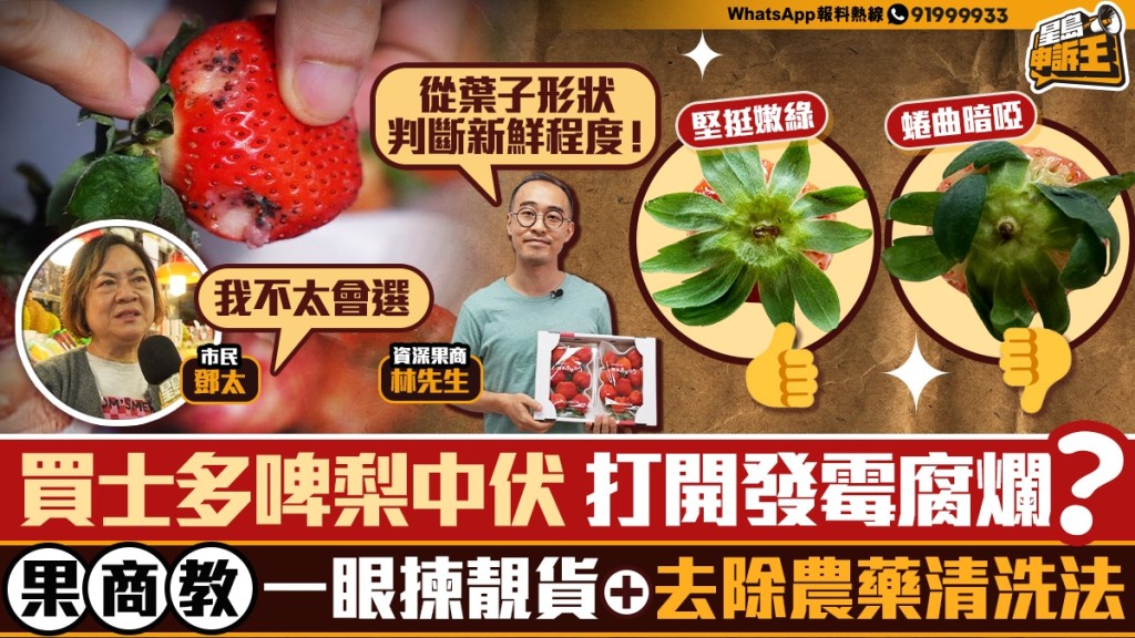 【士多啤梨攻略】果商教路！揀靚貨3大秘訣＋安全清洗法 避開發霉中伏陷阱