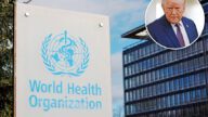 美國正式退出世衛組織 美國正式退出世衛組織