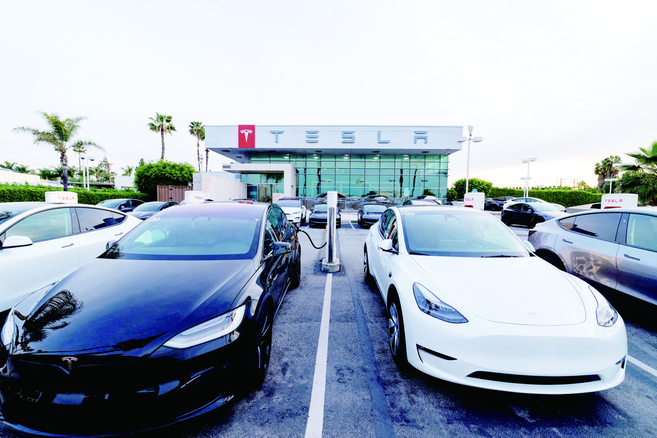 銷售下滑 特斯拉獲利年降61%