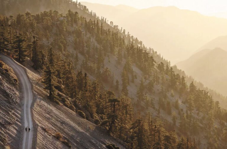 在鮑爾迪山喪命青年 事發時返家過節