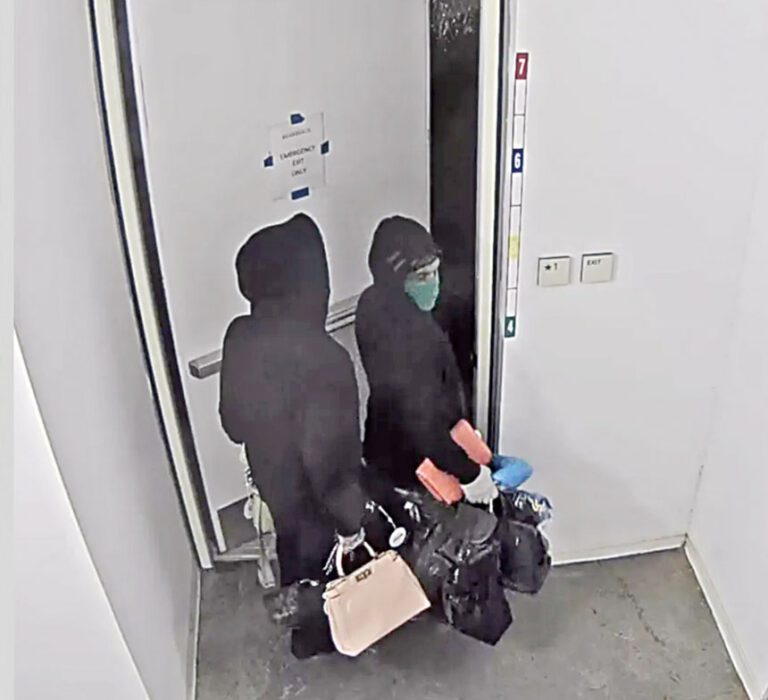 兩賊夜闖名牌店偷手袋事敗被捕