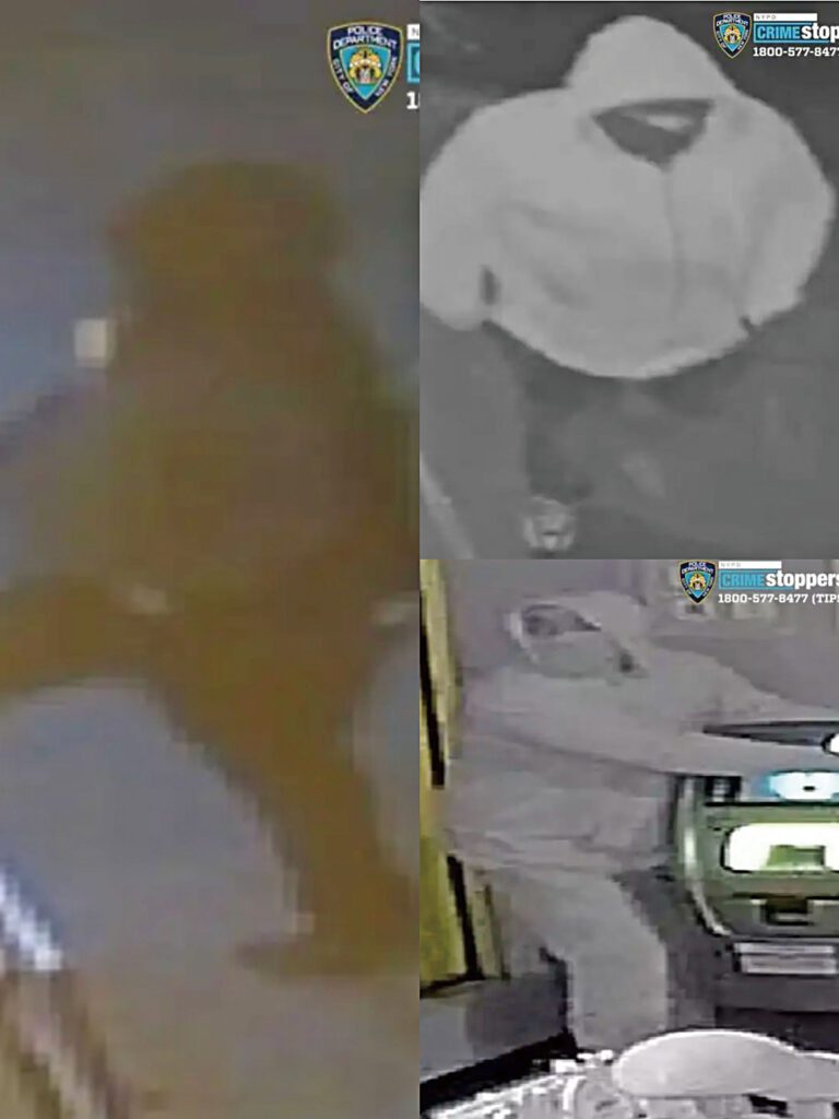 法拉盛偷車案指向連環偷車集團 犯案橫跨多轄區