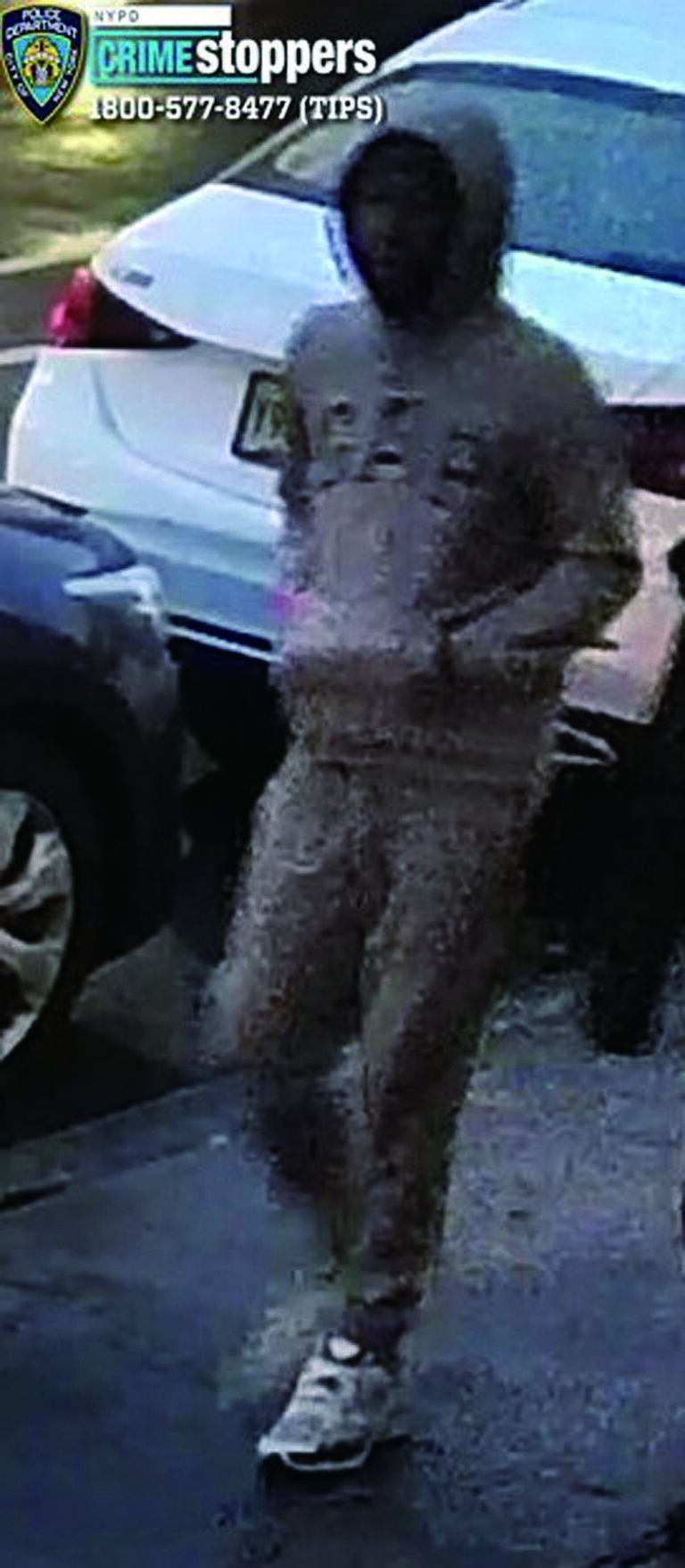 6旬婦中央公園遇襲致骨折 涉案團夥在逃