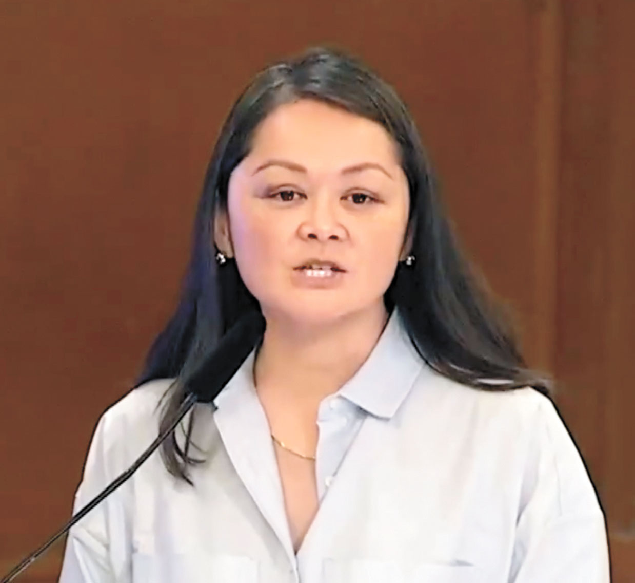 朱嘉文再獲市長任命五年任期，市參事會全票同意。視頻截圖