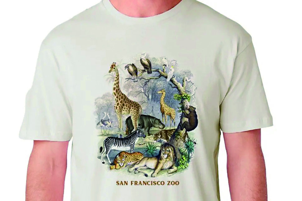 韓流女團「帶貨」 動物園T恤搶手