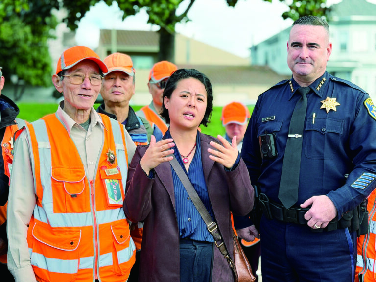 王夏琳爭取延遲周日咪錶停車收費