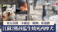 江蘇兩童殘忍燒死鄰居愛犬 家長一句「不就是一條狗」引爆全網怒火