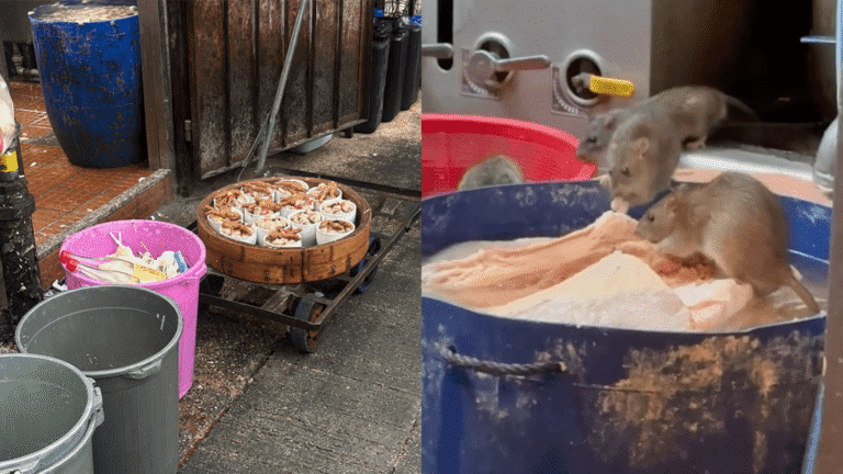 大埔老字號粉麵店驚現鼠蹤！食環署巡查後檢控 店家質疑影片造假報警