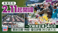 【2026年宵攻略】全港14大花市+2大市集日期、時間、攤位、交通一文整合！
