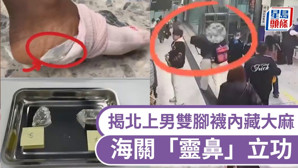 【北上藏毒】西九龍站海關憑「刺鼻氣味」截查 揭男子雙腳襪內藏大麻