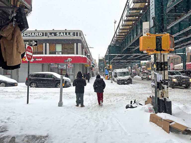 上週一場大雪使紐約多地覆蓋積雪。