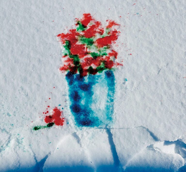 利用雪堆標新立異創作   藝術家灣脊公園留雪中藝術品