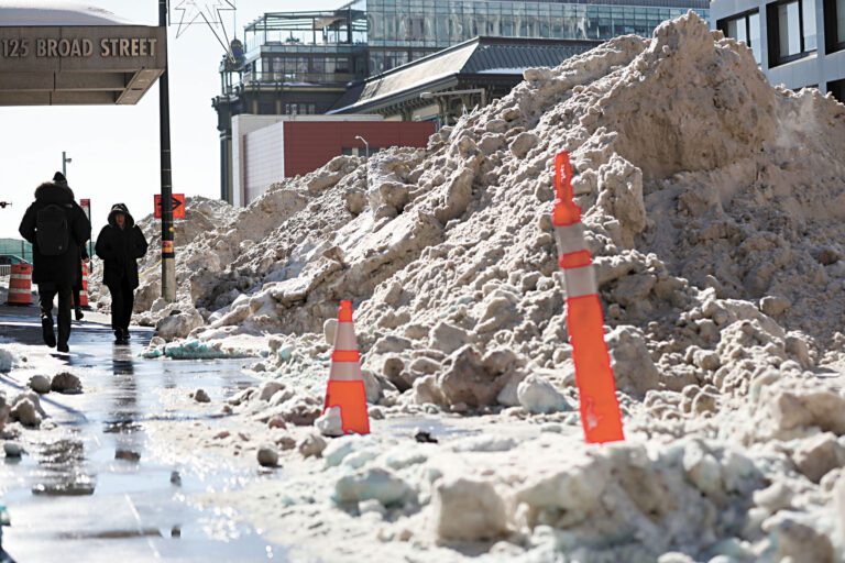 積雪清理工作的混亂引發市議會關注。Heather Khalifa/紐約時報