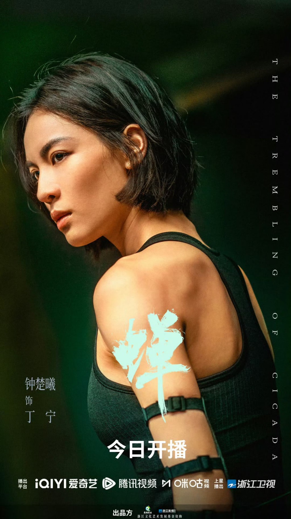 鍾楚曦出演刑辯律師丁寧一角。